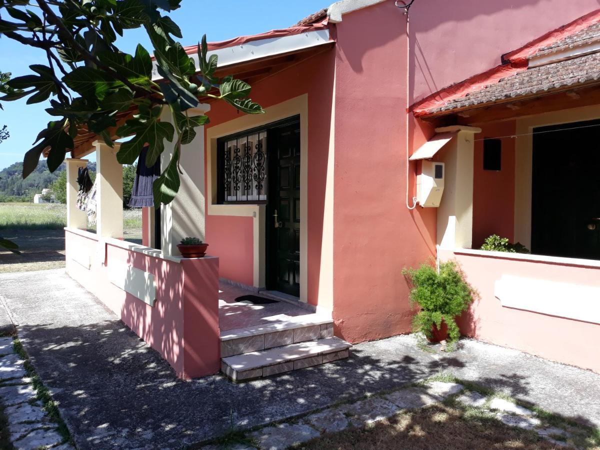 Aggeliki Apartments Sidari  Luaran gambar